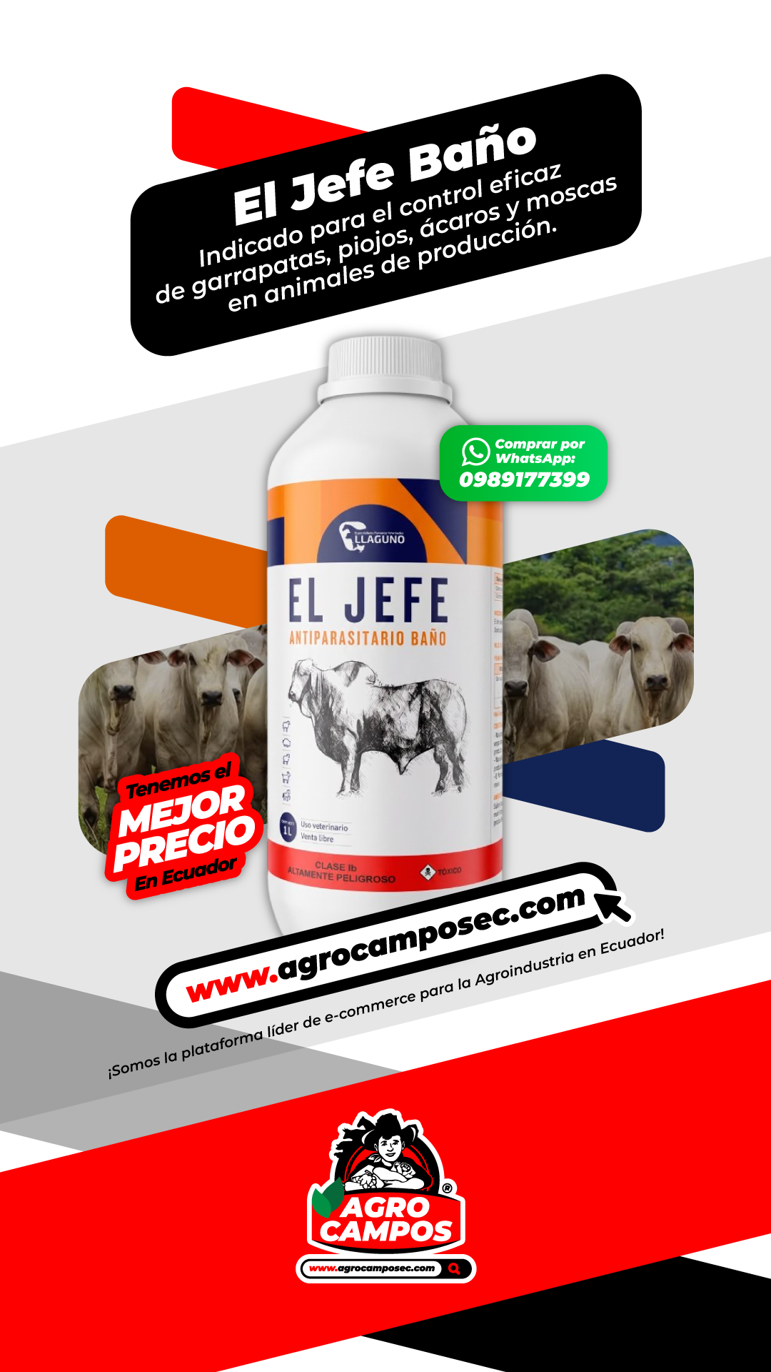 El Jefe Baño