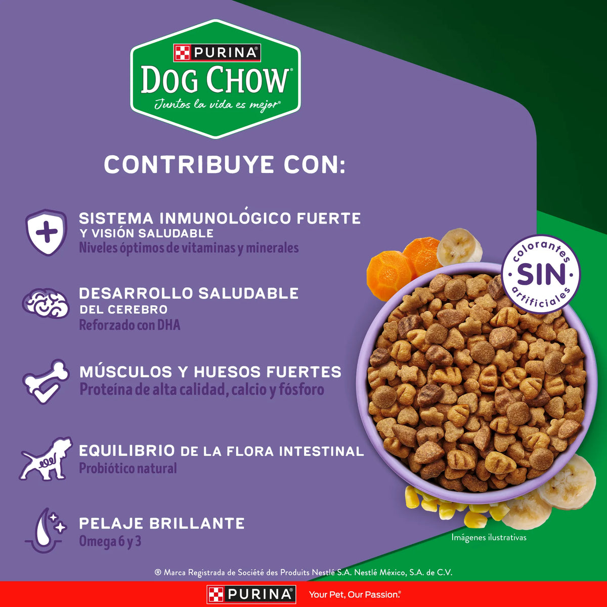 Purina Dog Chow Gran Comienzo Cachorros Mini y Pequeños