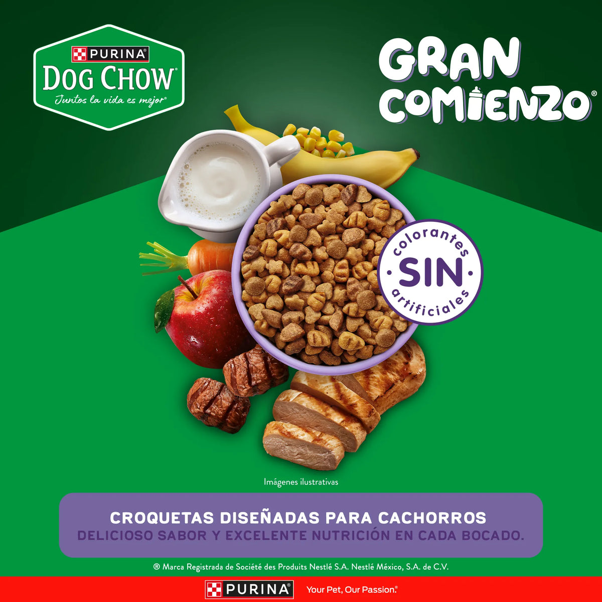 Purina Dog Chow Gran Comienzo Cachorros Mini y Pequeños
