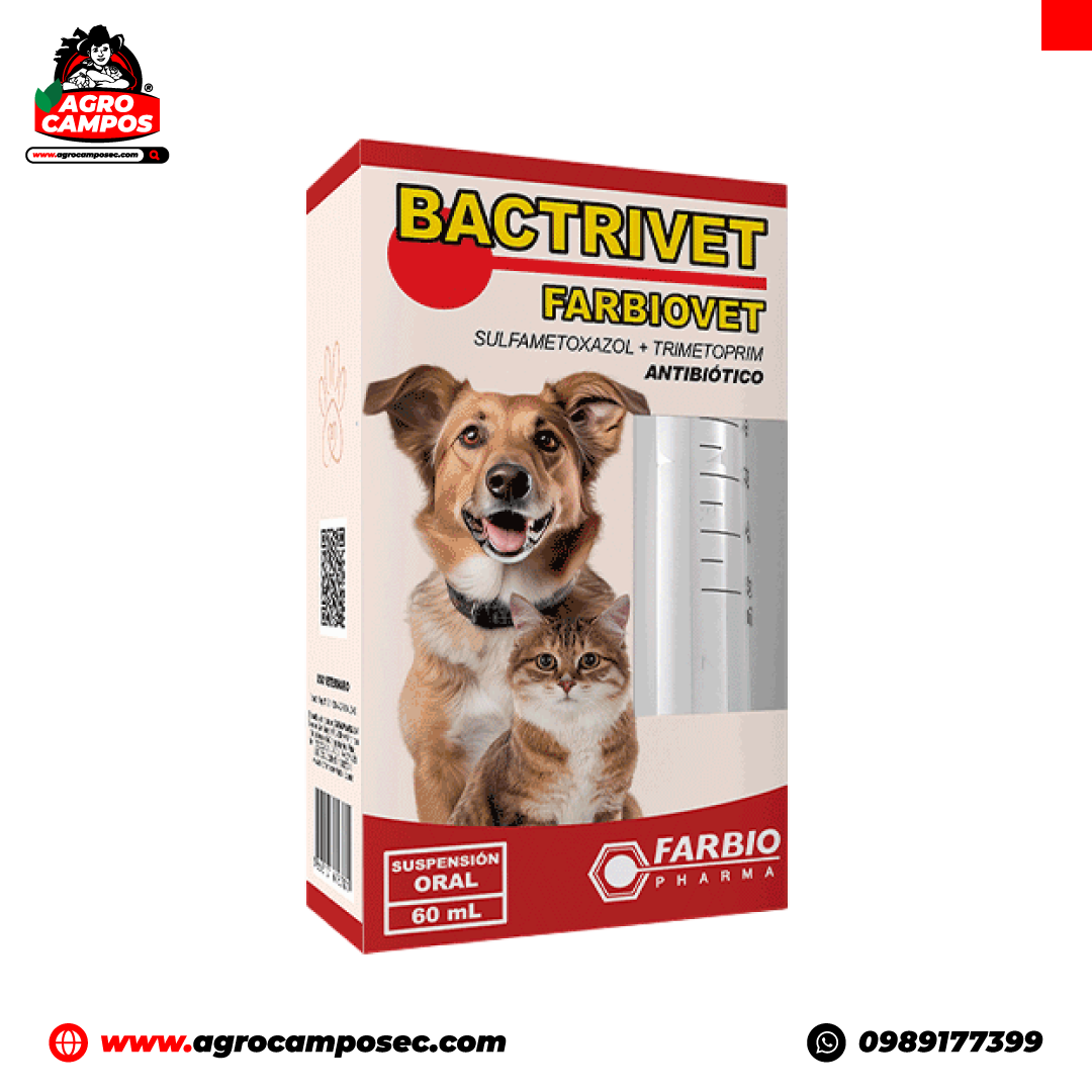 Bactrivet Oral Mascotas - Agro Campos
