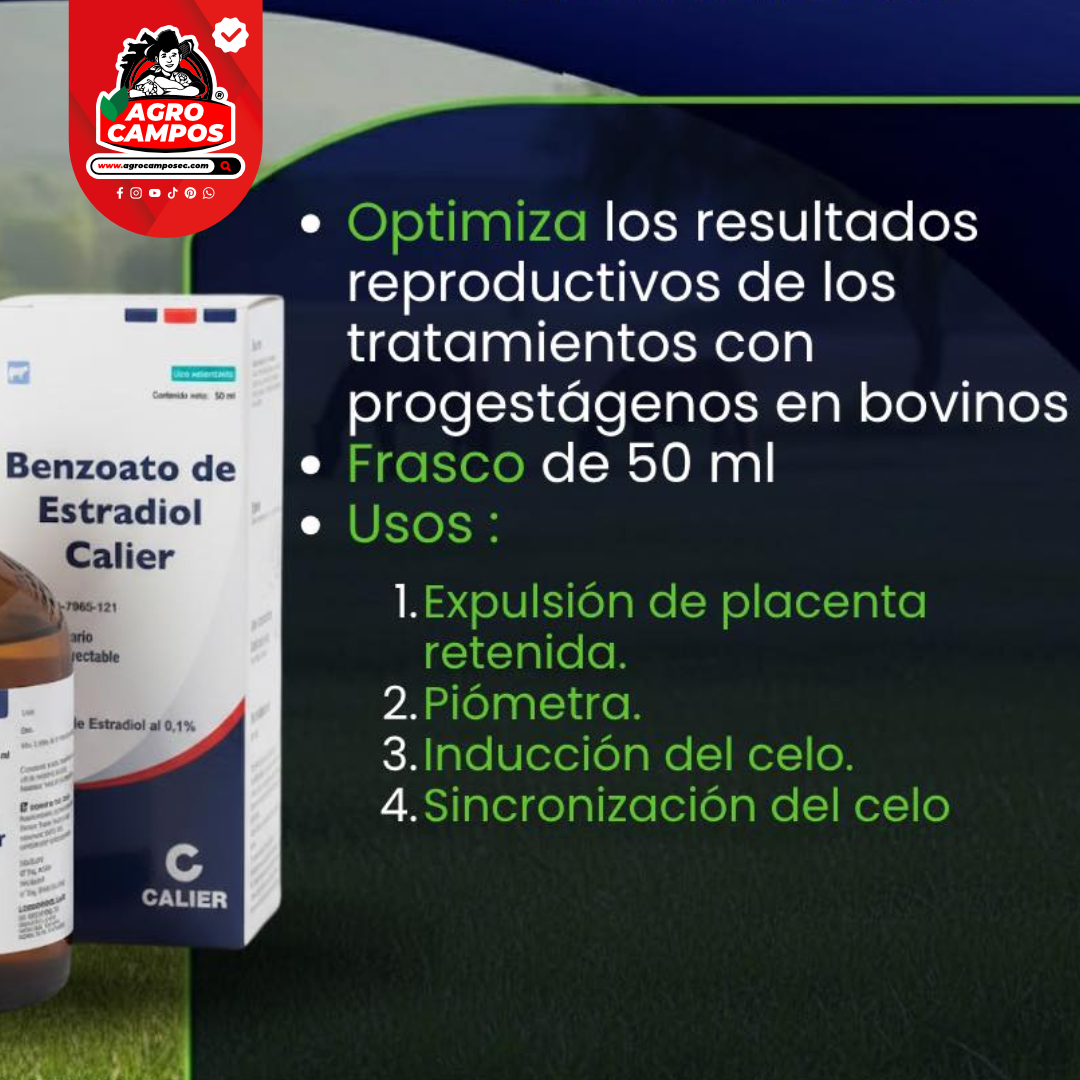 Benzoato de Estradiol