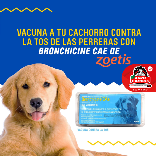 Vacuna Bronchicine