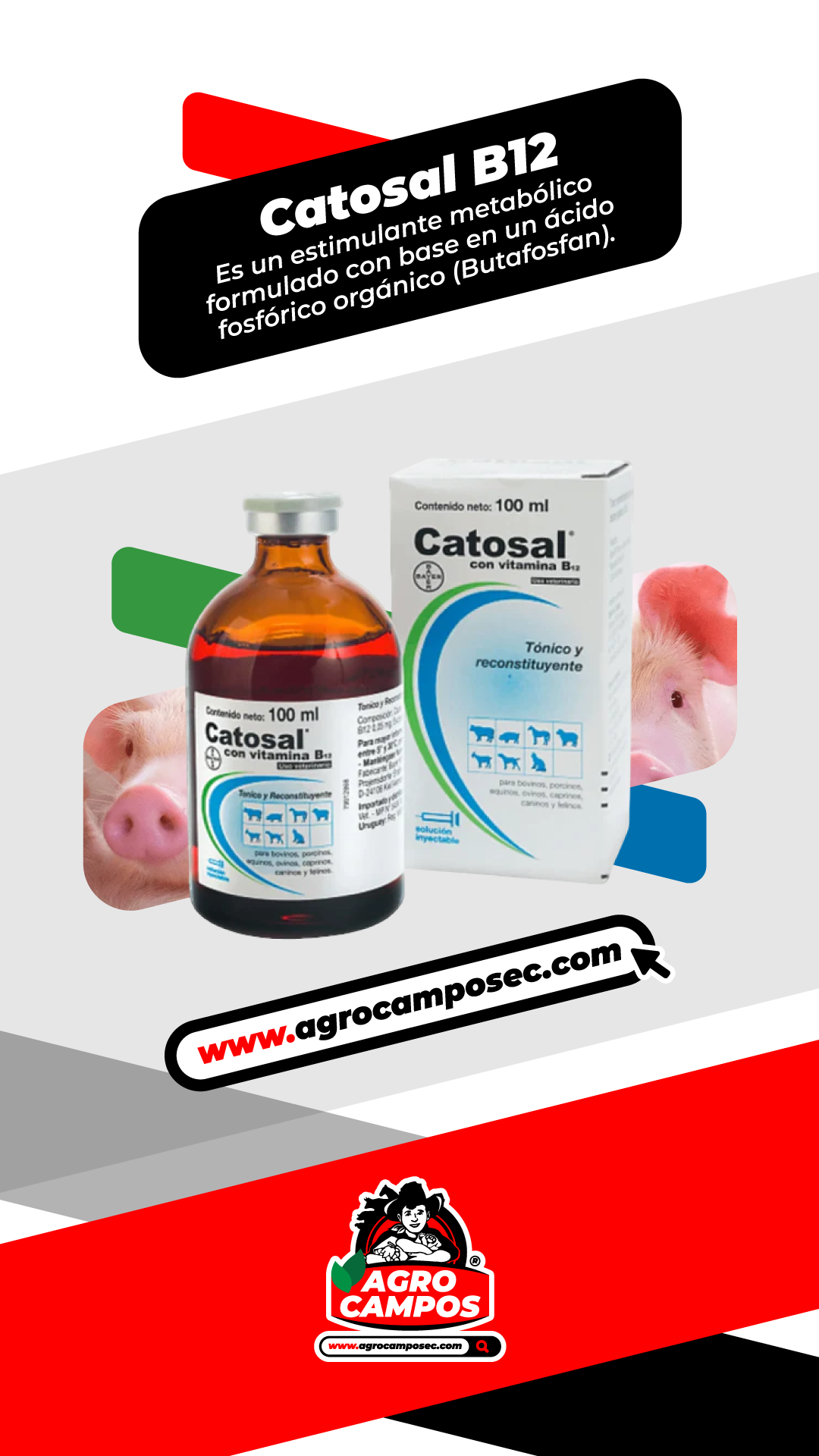 Catosal