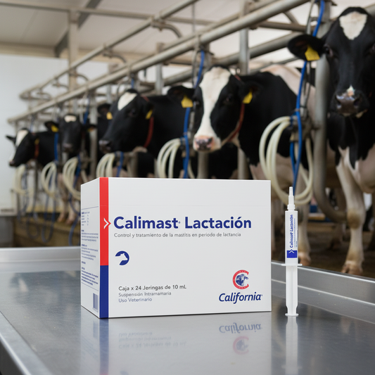 Calimast Lactacion Sala Ordeno Caja Jeringa Mastitis Lactancia Ecuador - Agro Campos® Online Store