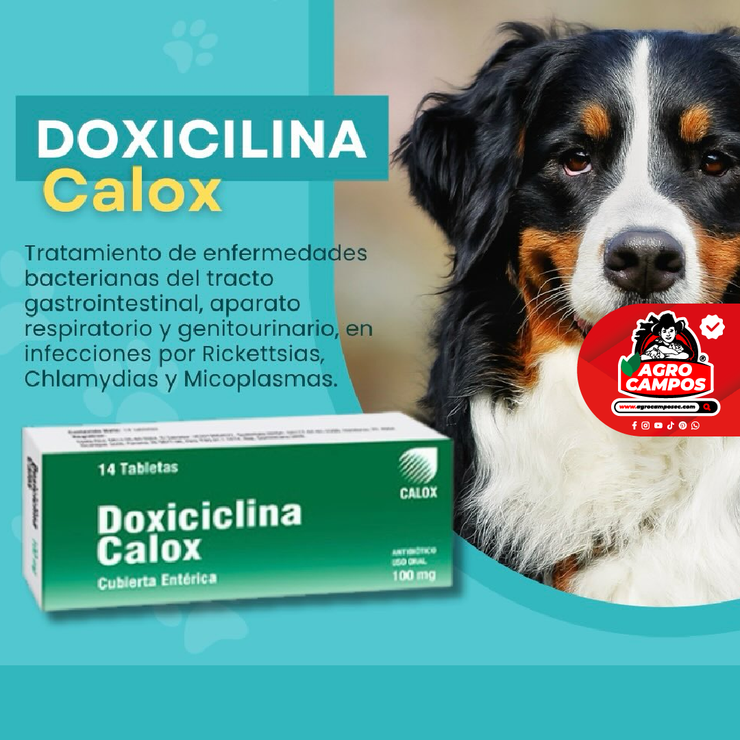 Doxiciclina Calox