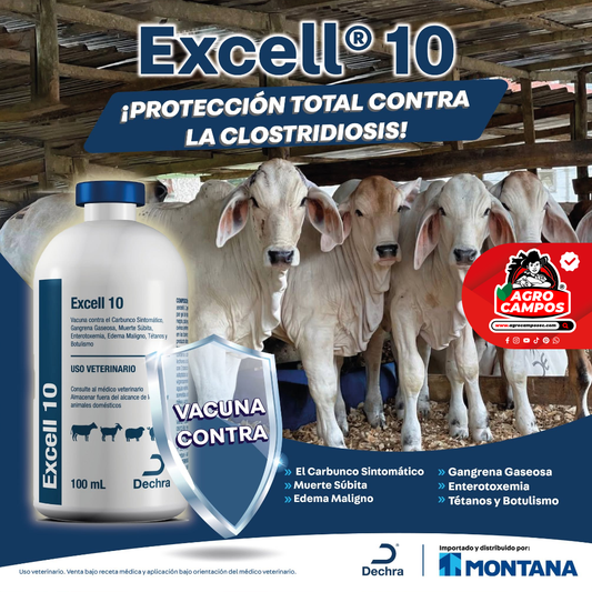 Excell 10