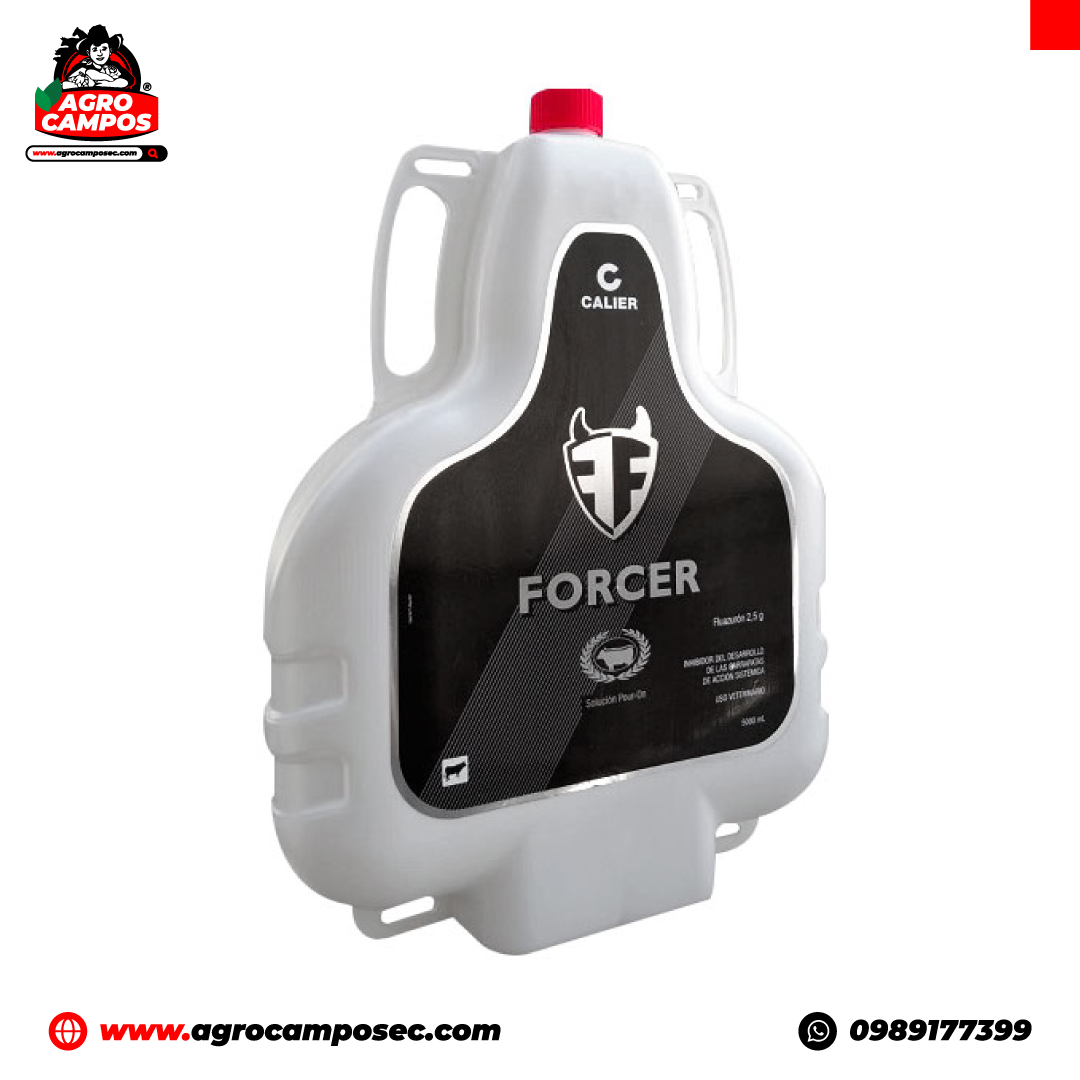Forcer