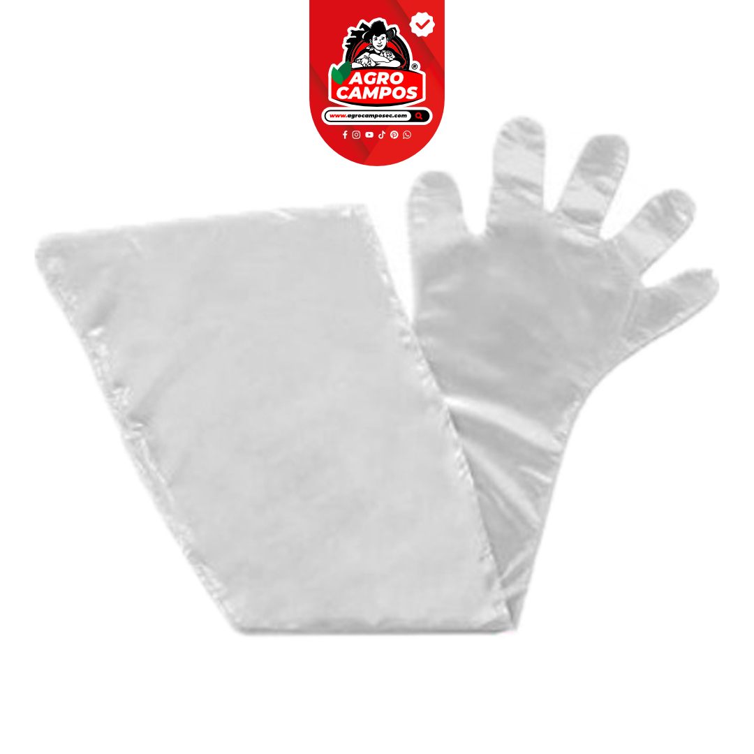 Guantes Ginecológicos
