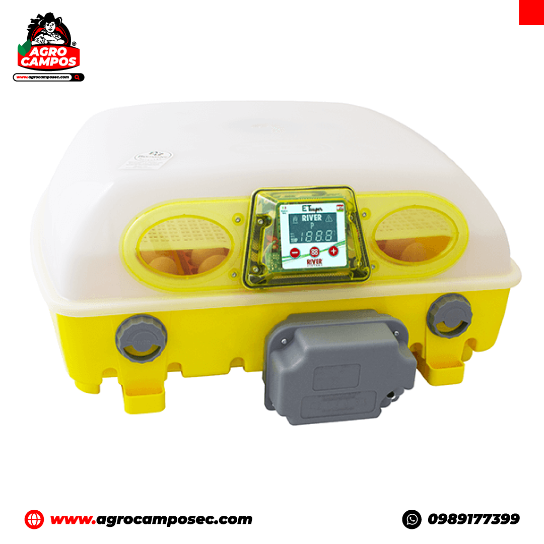 Incubadora Automática River de 49 Huevos con Biomaster