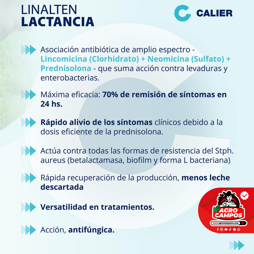 Linalten Lactancia