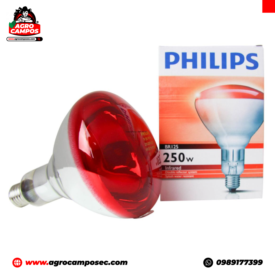 Lámpara Infrarroja Philips 250 W 220 V
