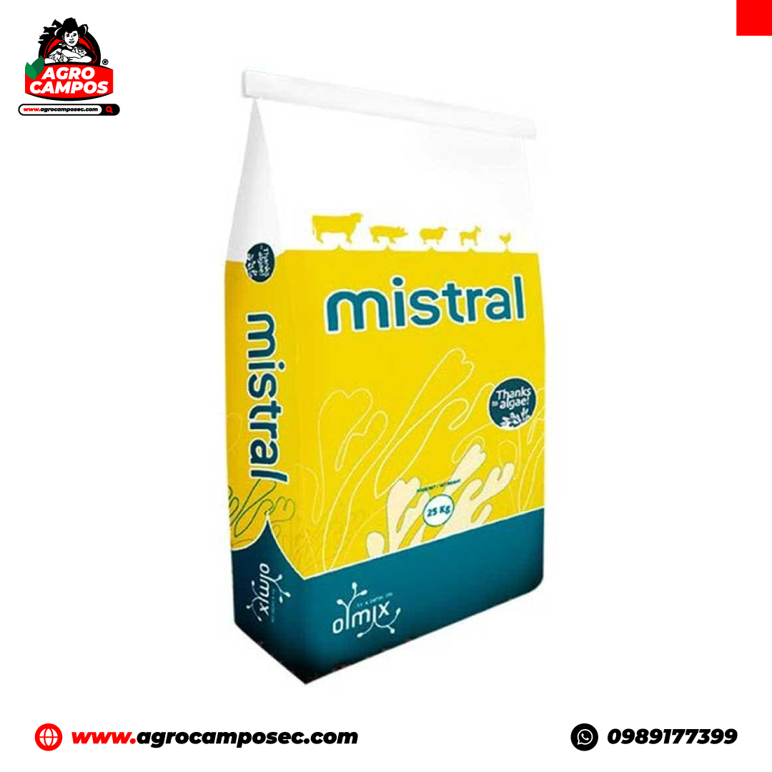 Mistral