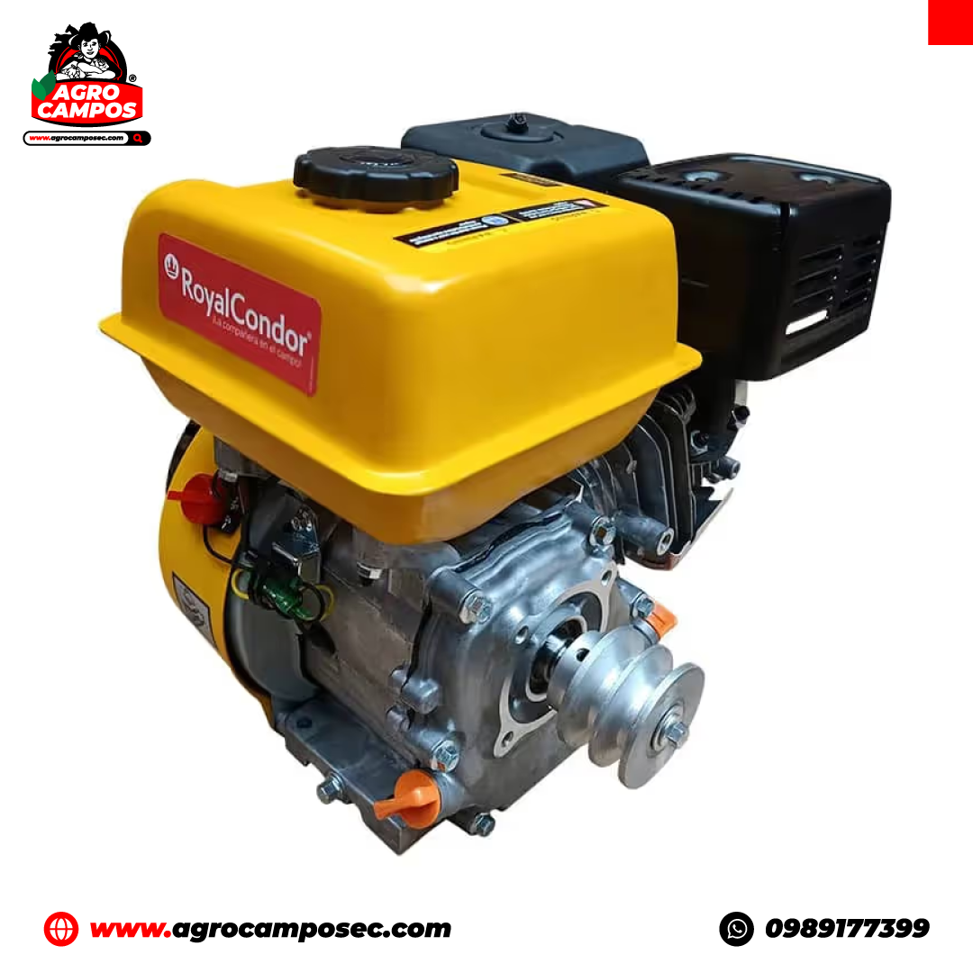 Motor Estacionario Royal Condor 7 HP Cerámico para Fumigación