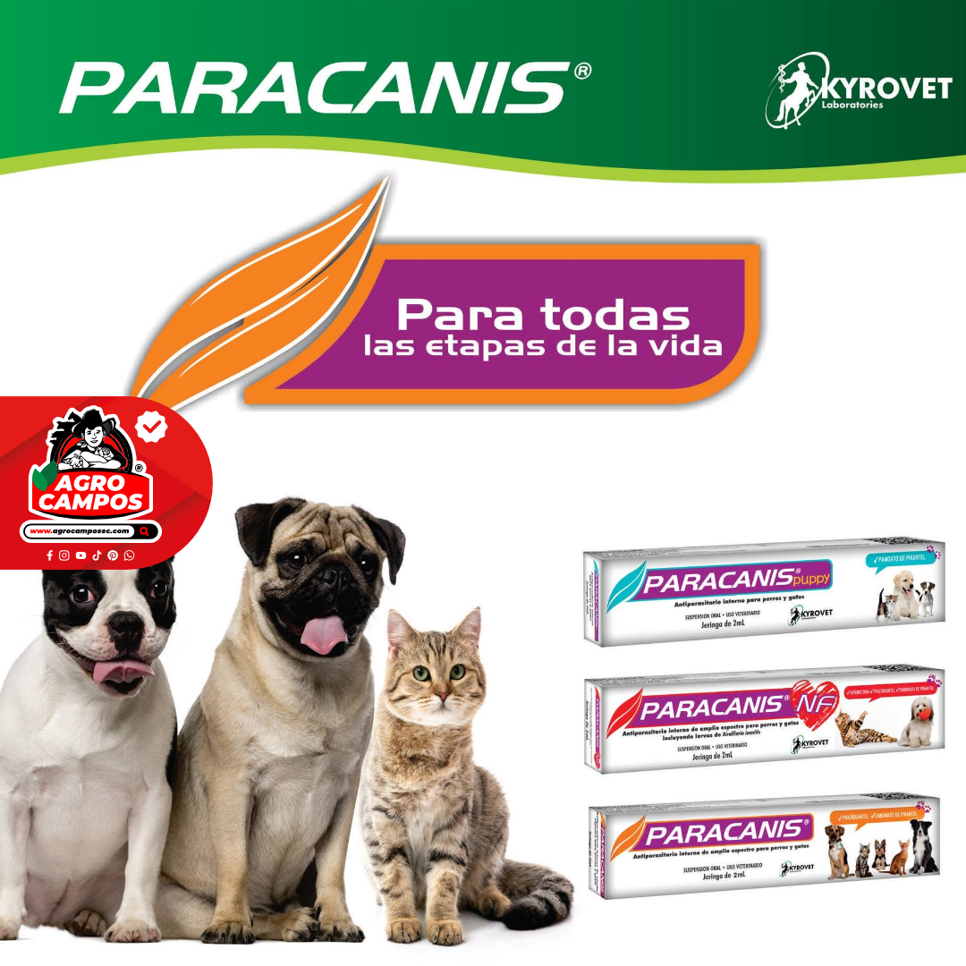 Paracanis NF