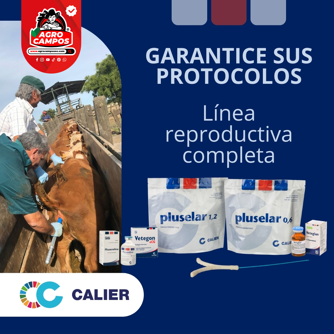 Pluselar 0.6