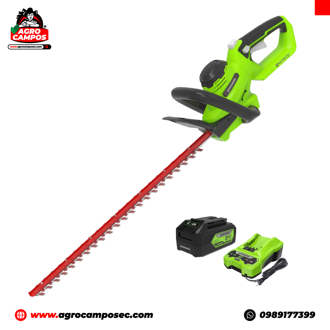 Greenworks Podadora de Altura + Cortasetos 24V