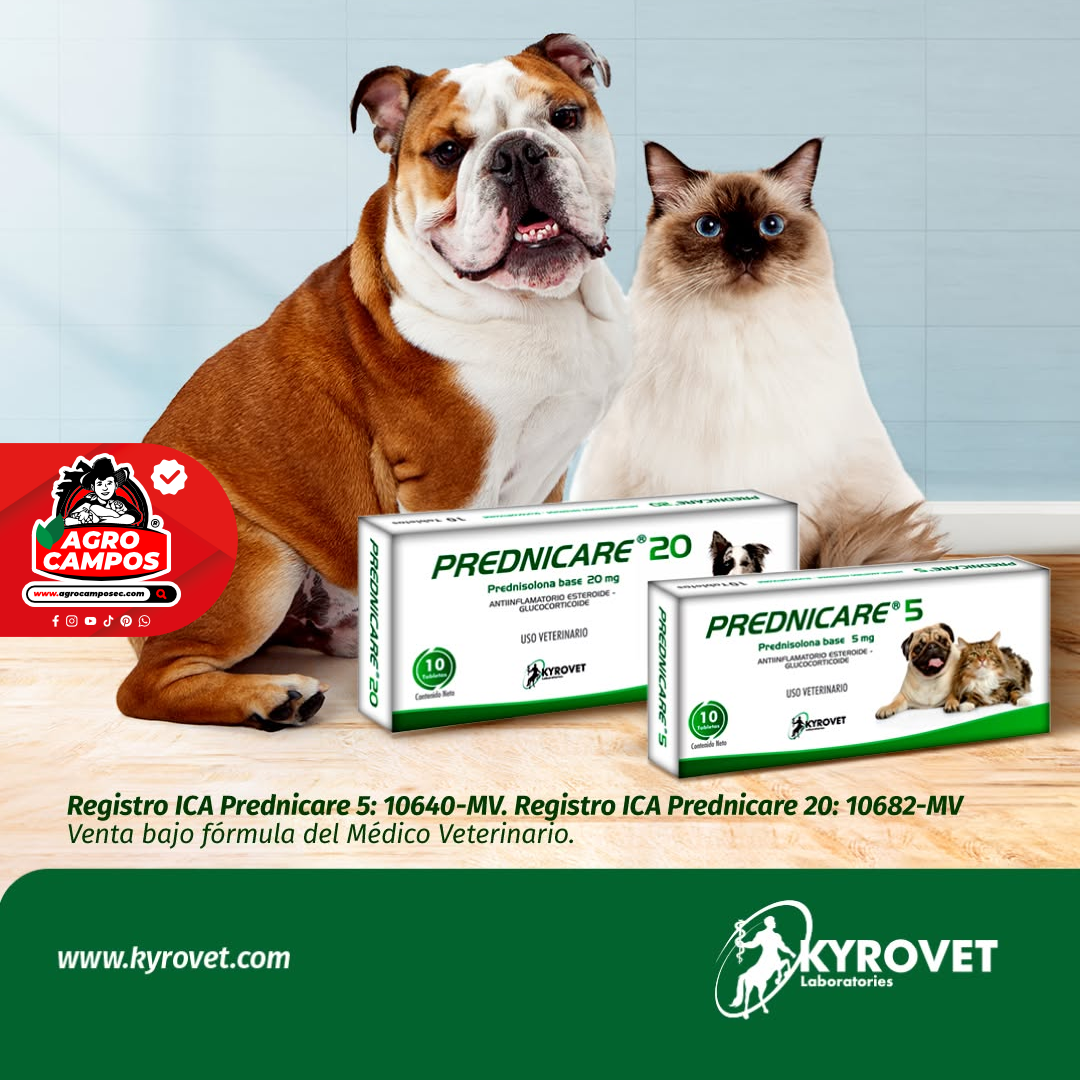 Prednicare 20