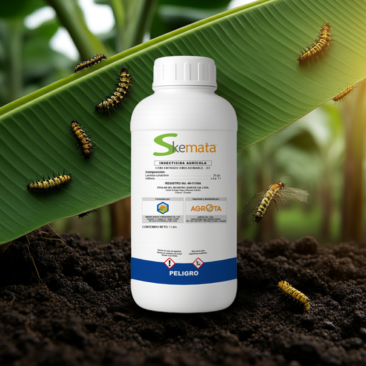 Skemata Insecticida