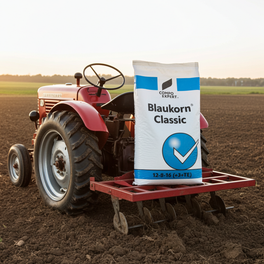 blaukorn-classic-arriba