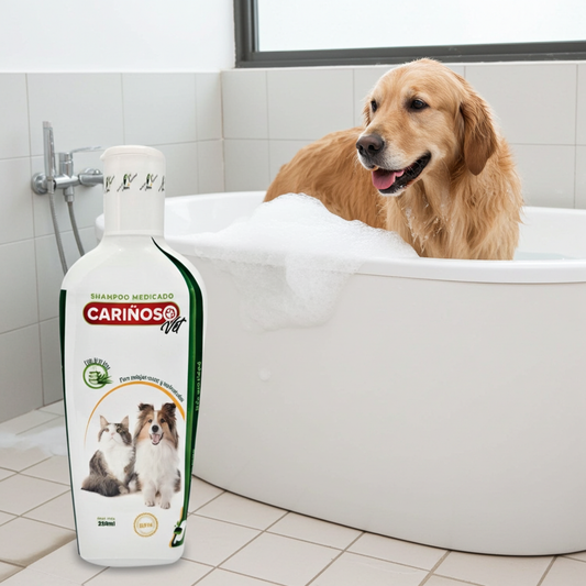 Shampoo Medicado Cariñoso Mascotas