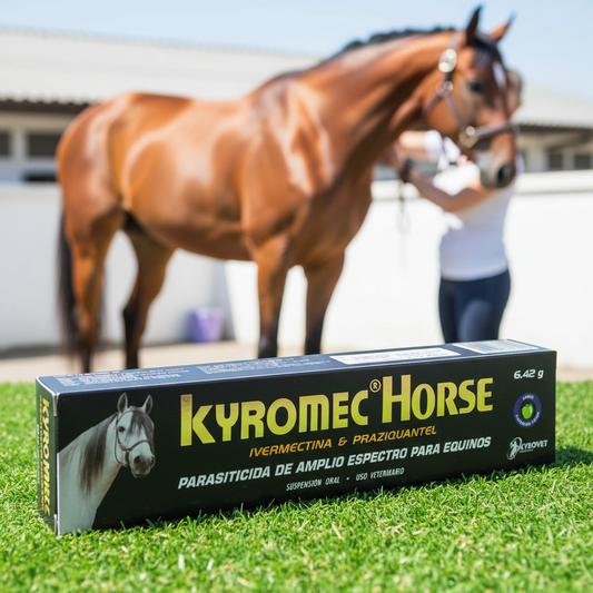 kyromec-horse-caballo-deportivo-sano-pasto-verde