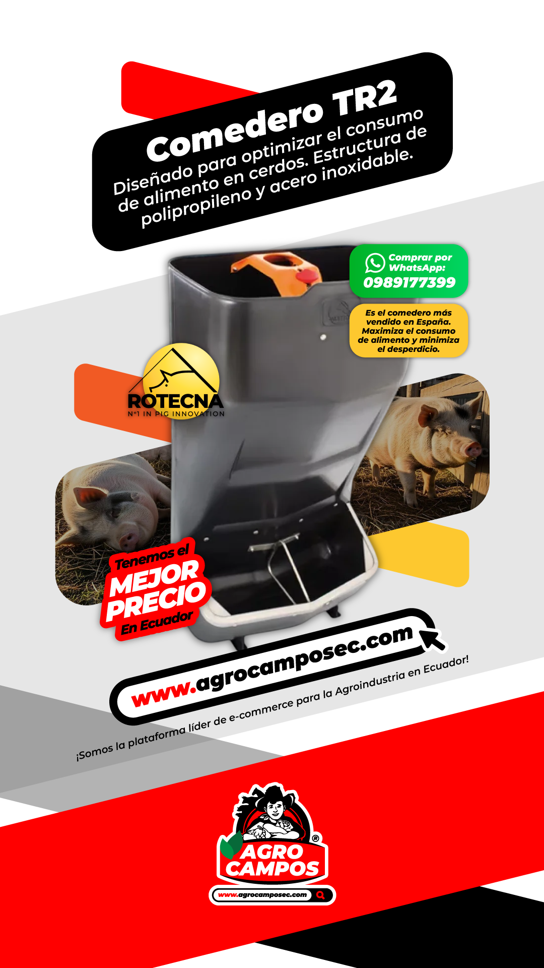Comedero Cerdos TR2 Sencillo