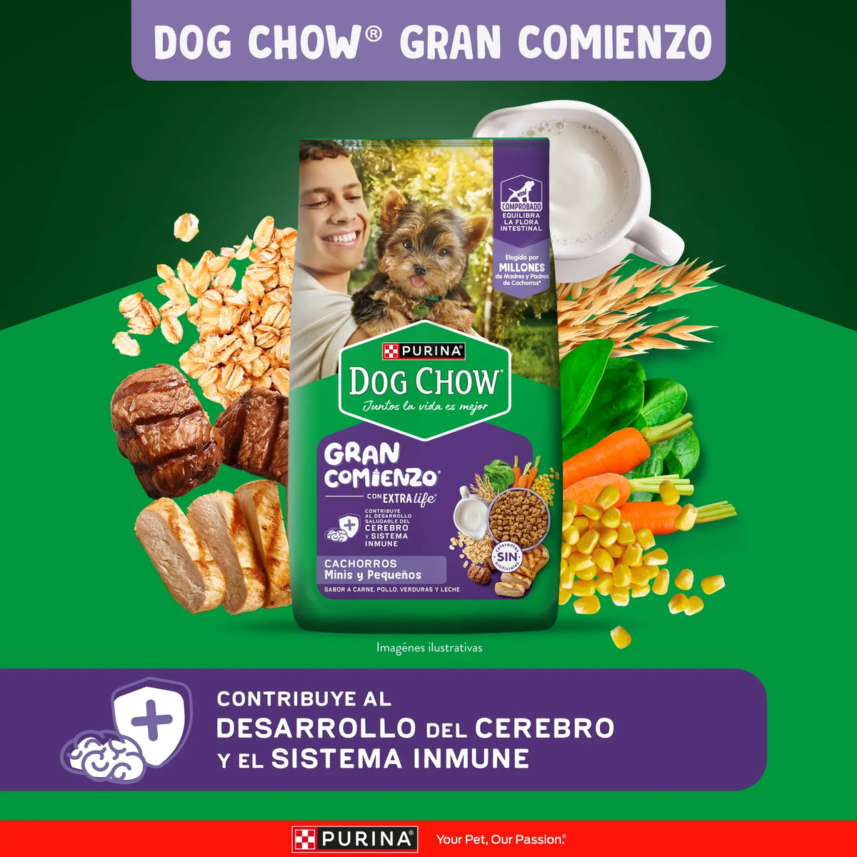 Purina Dog Chow Gran Comienzo Cachorros Mini y Pequeños