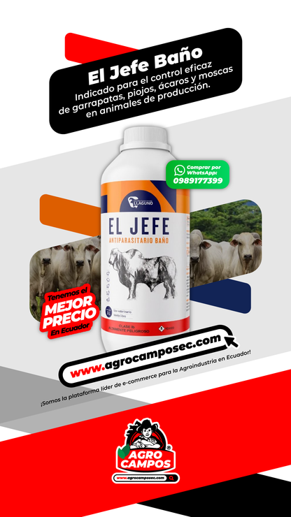 El Jefe Baño