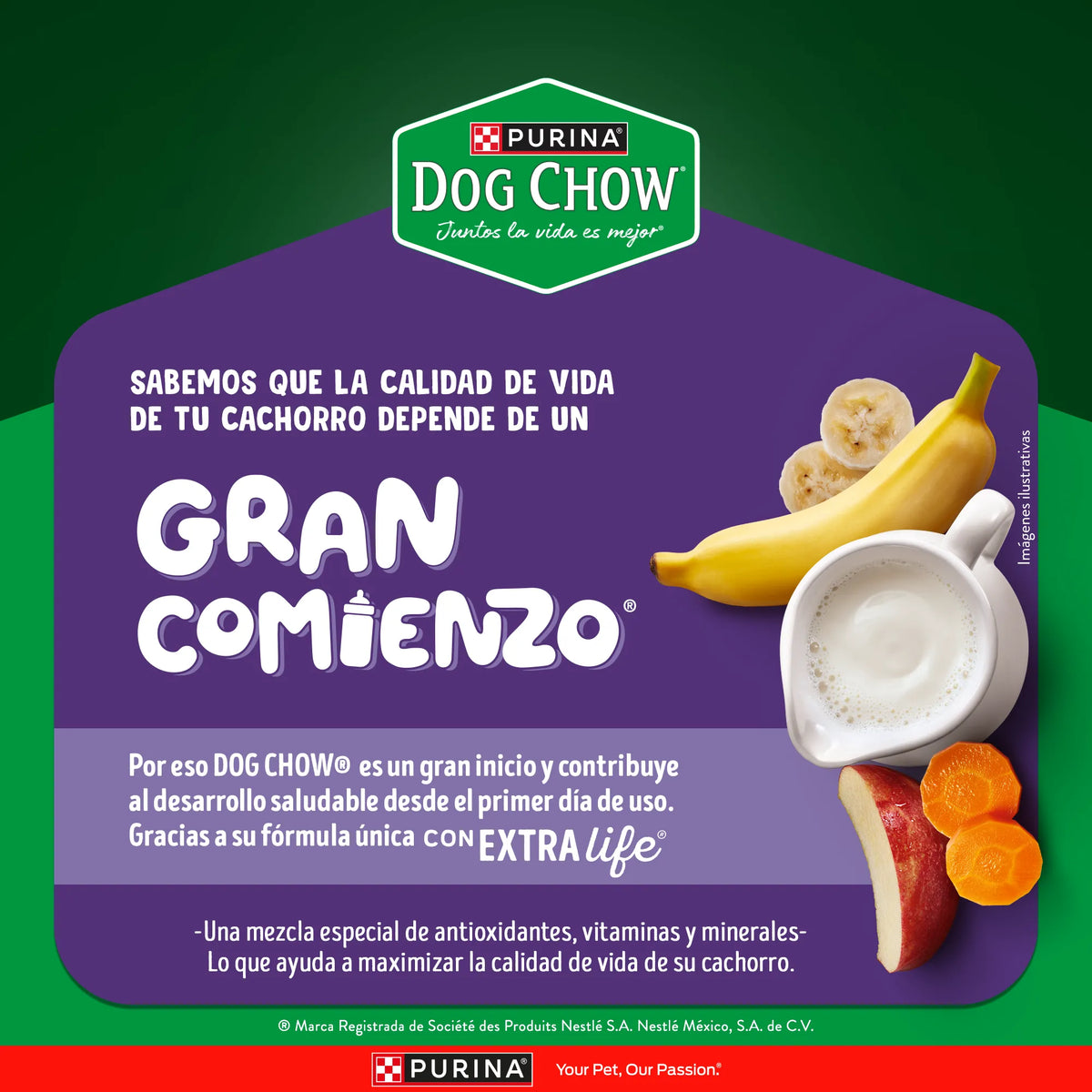 Purina Dog Chow Gran Comienzo Cachorros Mini y Pequeños