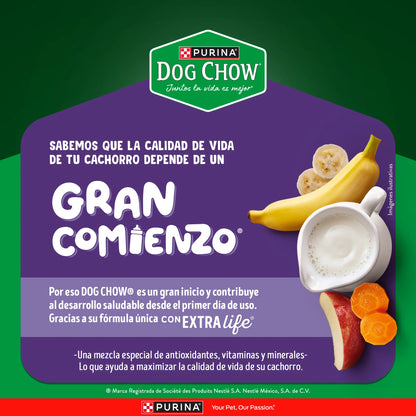 Purina Dog Chow Gran Comienzo Cachorros Mini y Pequeños