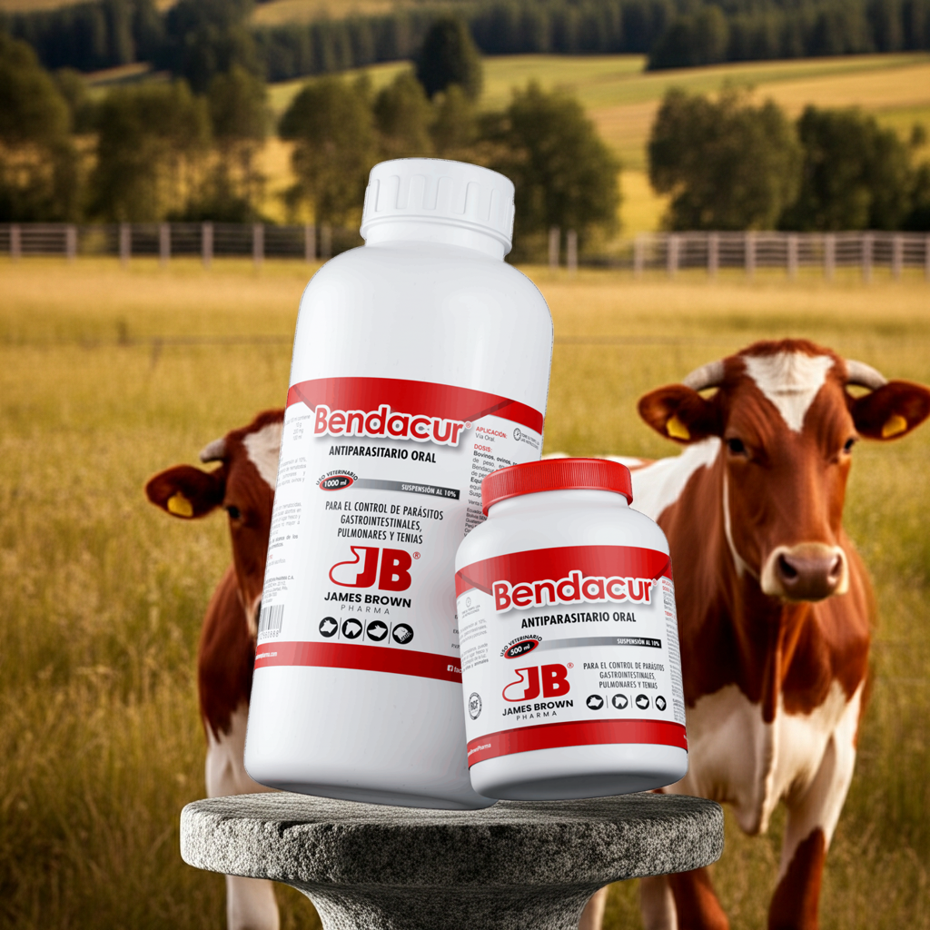 Bendacur JB Antiparasitario