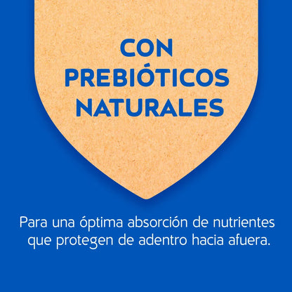 Alimento Seco para Gatos Purina Cat Chow Adultos Pescado