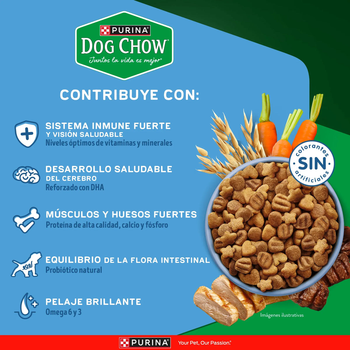 Dog Chow Gran Comienzo Cachorros Razas Medianas y Grandes