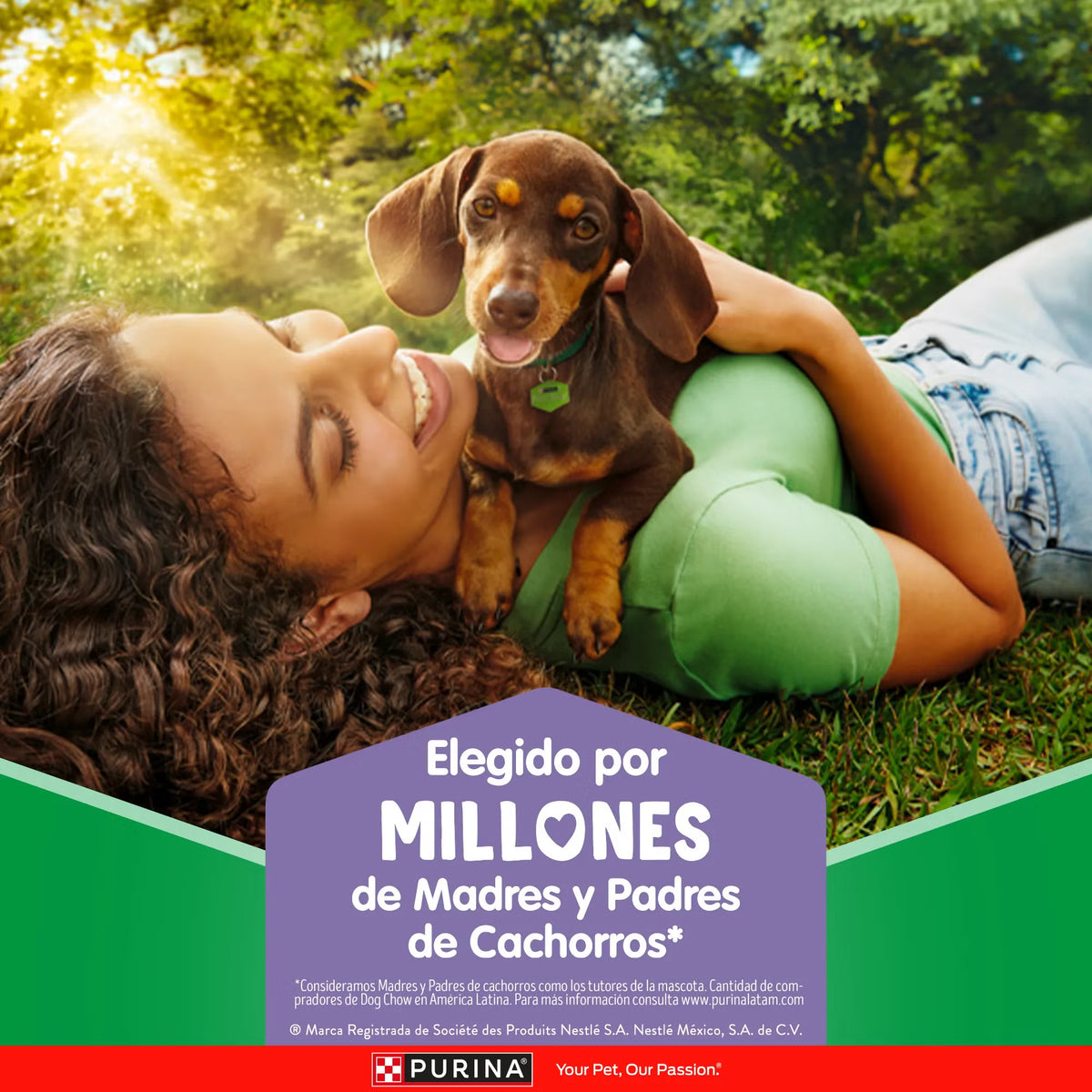 Purina Dog Chow Gran Comienzo Cachorros Mini y Pequeños