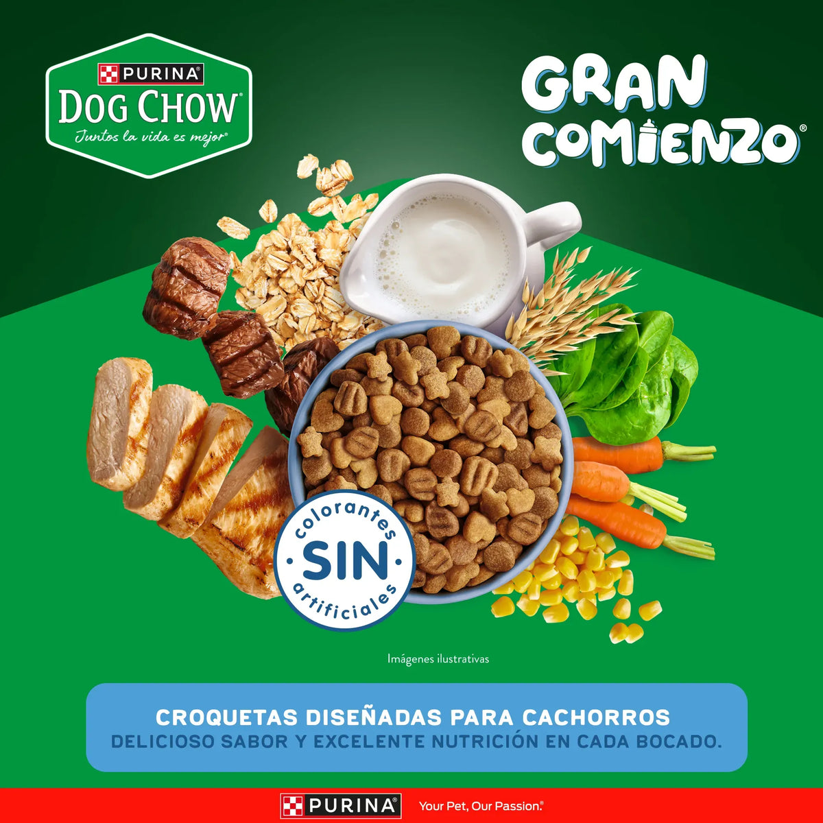 Dog Chow Gran Comienzo Cachorros Razas Medianas y Grandes