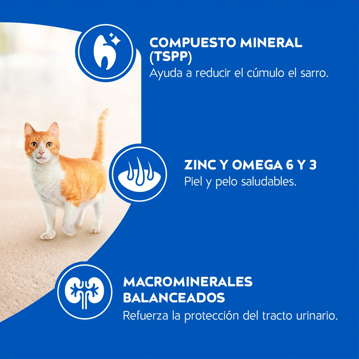 Alimento Seco para Gatos Purina Cat Chow Adultos Pescado
