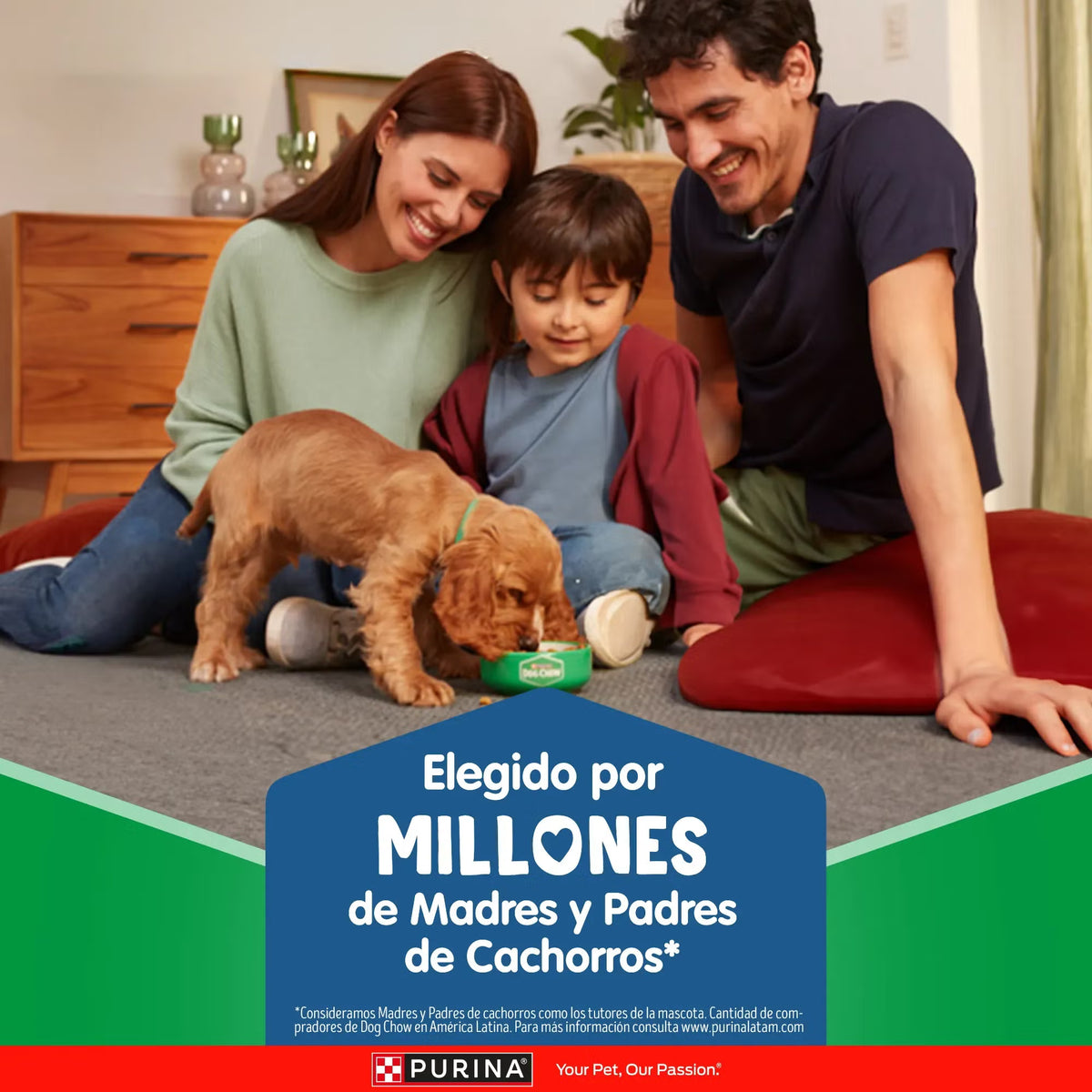 Dog Chow Gran Comienzo Cachorros Razas Medianas y Grandes