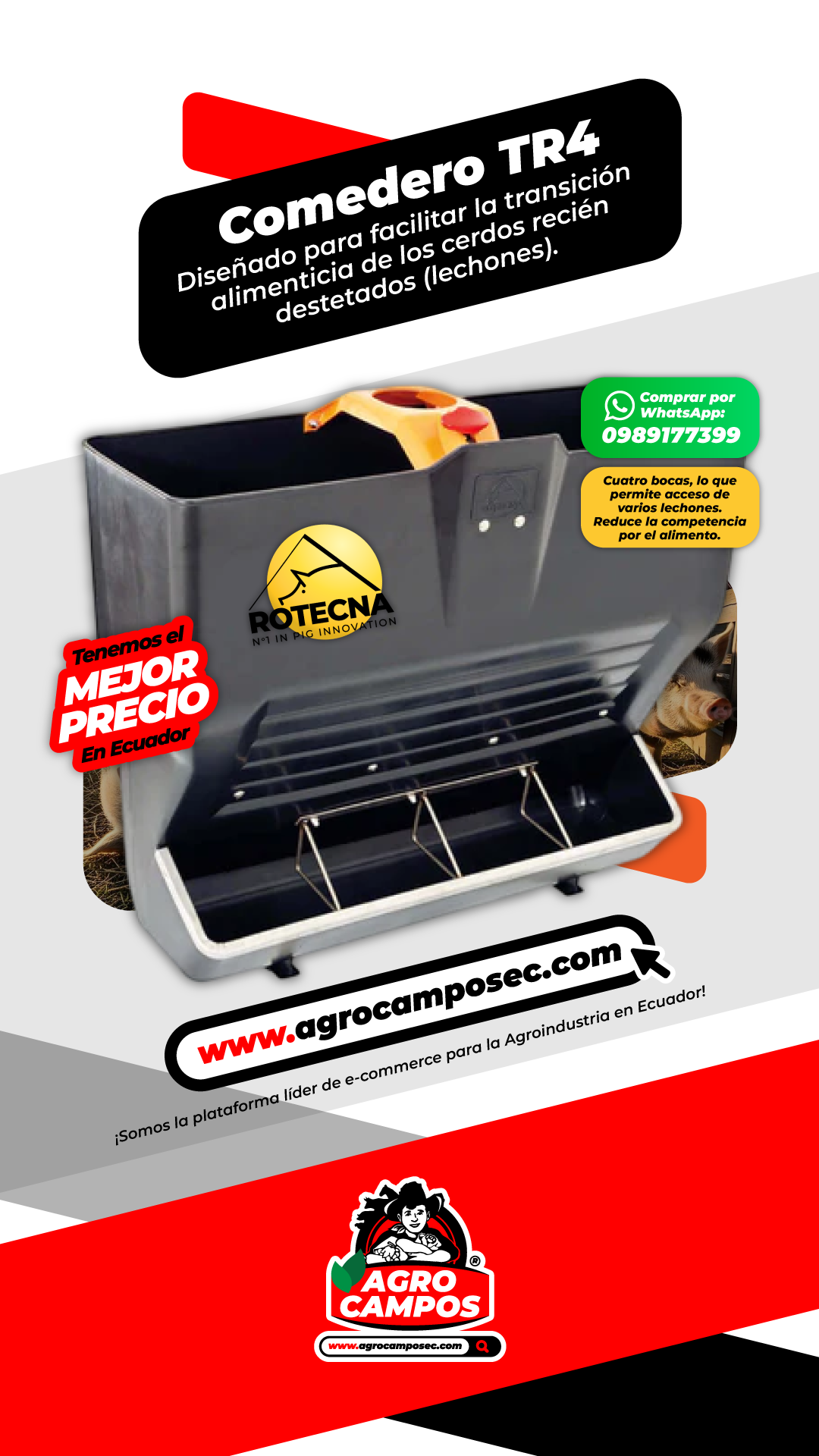 Comedero Cerdos TR4 Lechones