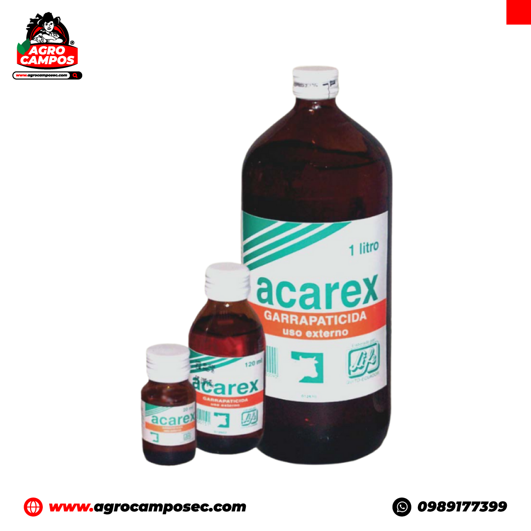 Acarex