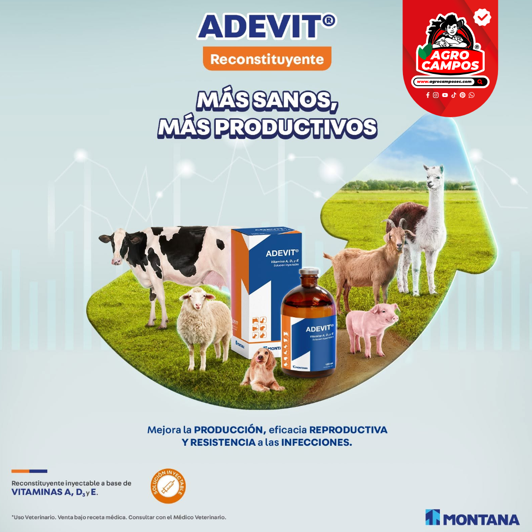 Adevit Iny.