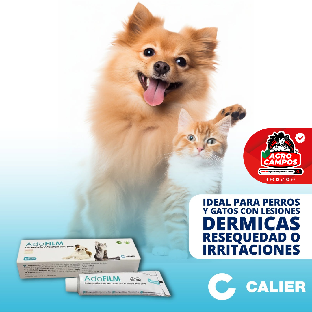 Adofilm Mascotas
