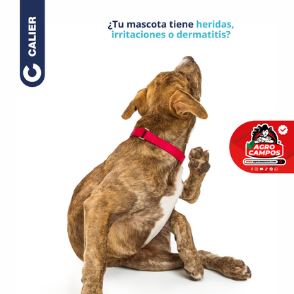 Adofilm Mascotas