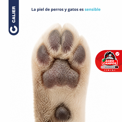 Adofilm Mascotas