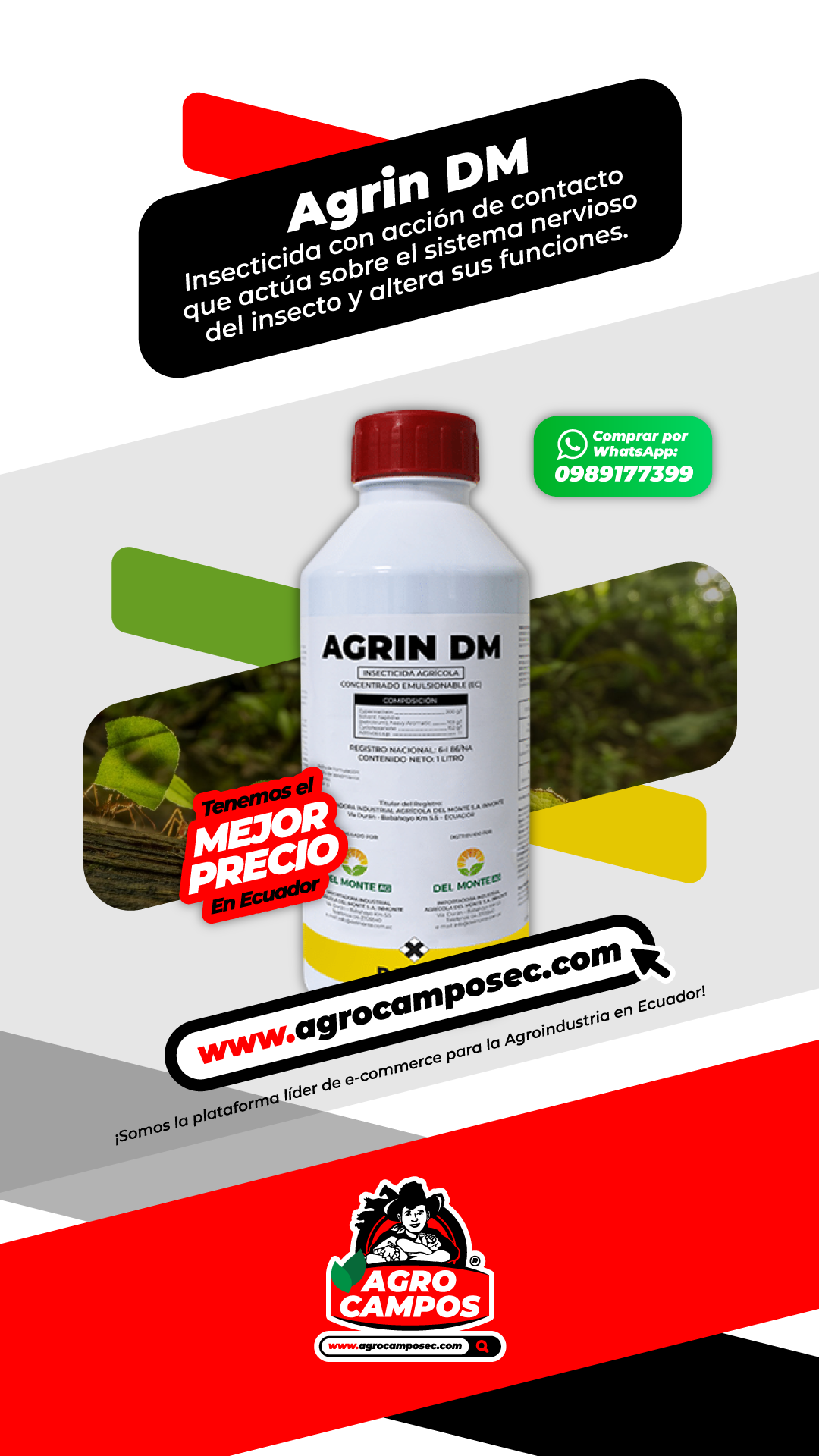 Agrin