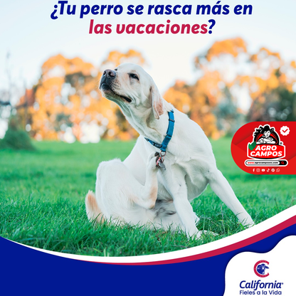 Alercaf