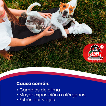 Alercaf