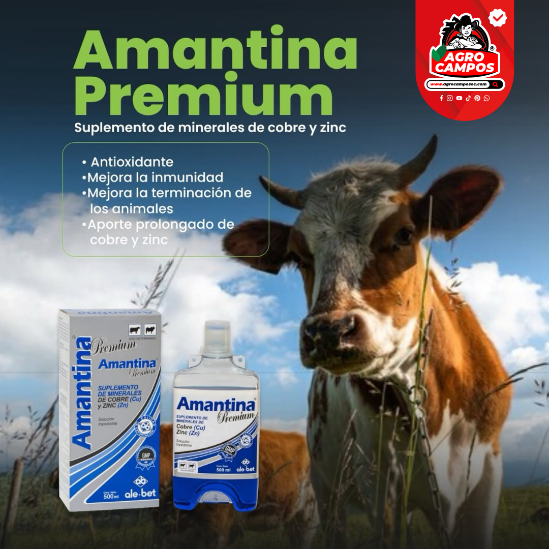Amantina Premium