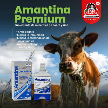 Amantina Premium