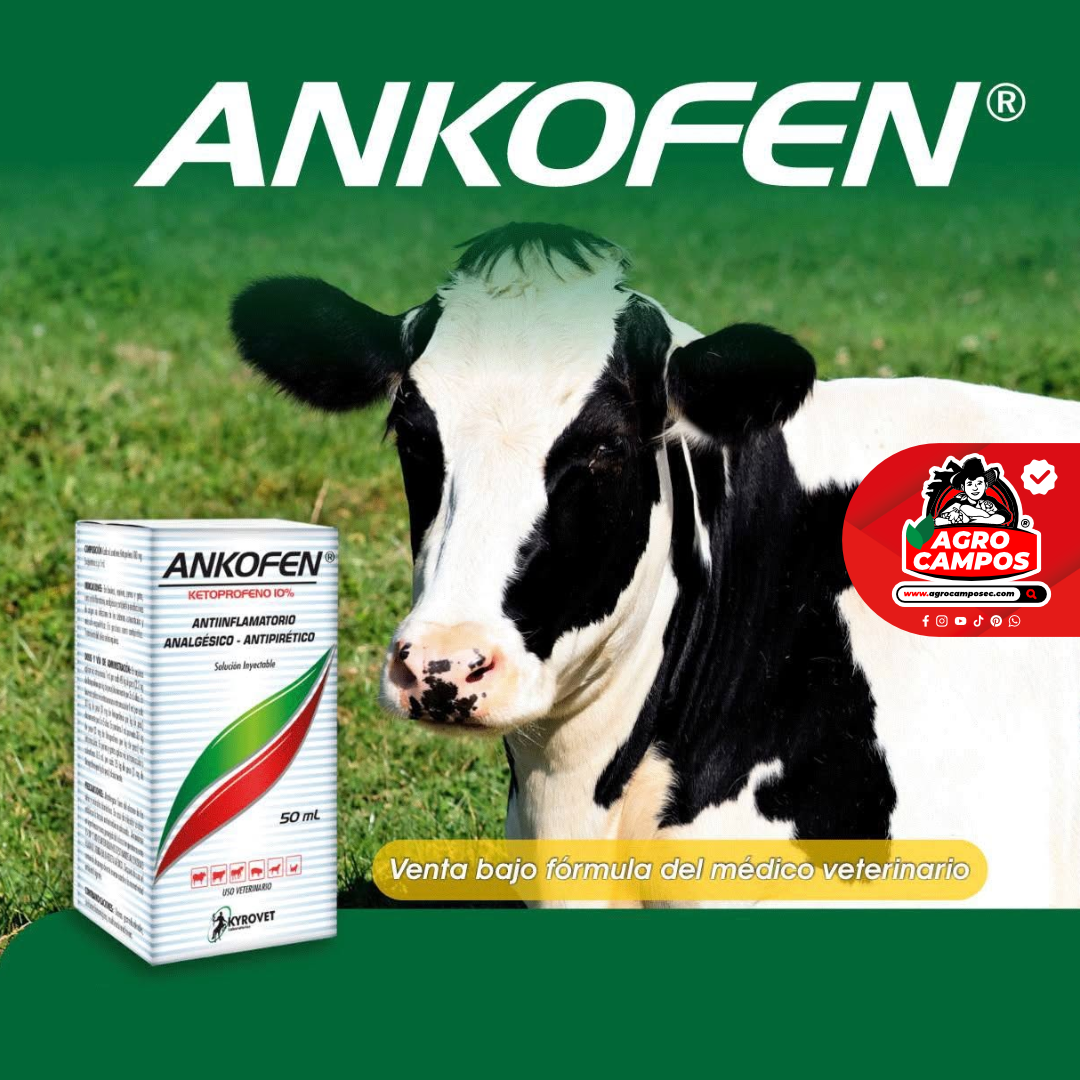 Ankofen Iny.