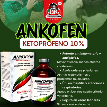 Ankofen Iny.